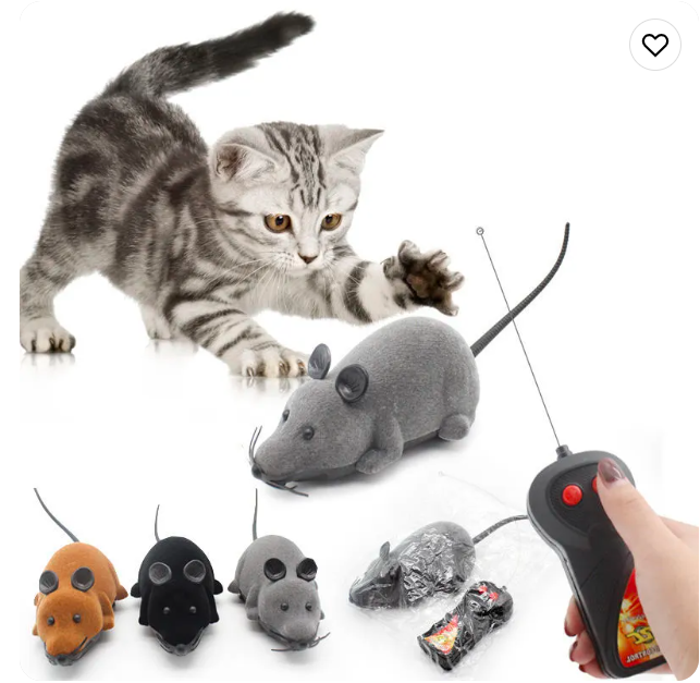 Cat Toys