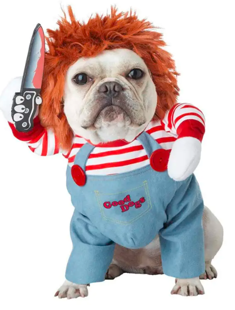 dog clothes